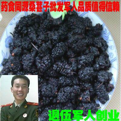 中药材无沙黑桑葚干桑椹 桑葚子 新鲜桑葚头茬 新货桑葚500克包邮