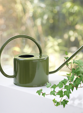 沃施worth浇花水壶长嘴家用浇水壶园艺多肉盆栽细嘴小型浇花壶