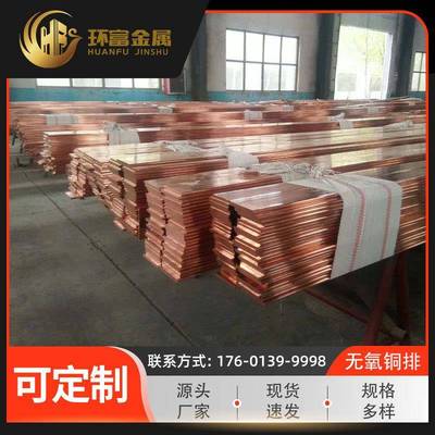 厂家供应c10100无氧铜排c10200铜排c1030排高精异型无氧铜排