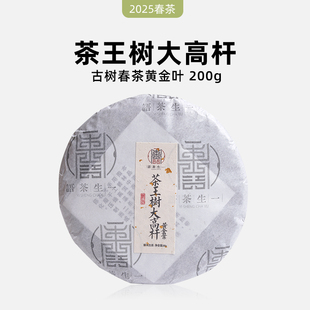 2025年春茶 一生茶语刮风寨茶王树大高杆黄金叶古树茶 普洱茶生茶