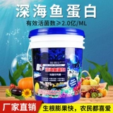 Глубокое морское море маргилифорния рыб белок сурьма Дрочин жир Органические удобрения вода -Соберистые жирные овощные клубничные деревья Баррель жир