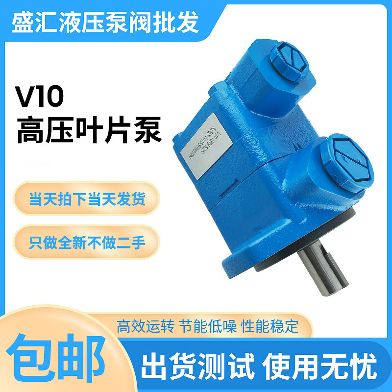 V10-1P7P-38D-20压铸机高压泵