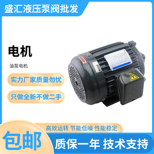 1.5 2.25 5.6 15KW内轴液压油泵专用电机 3.75 盛汇液压0.75KW