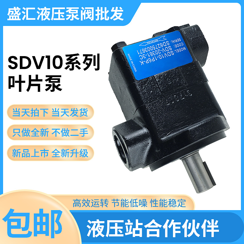 注塑机油泵SDV10-1P1P-1B 1P2P 1P3P 1P4P-1A1C1D液压定量叶片泵 五金/工具 压力泵 原图主图