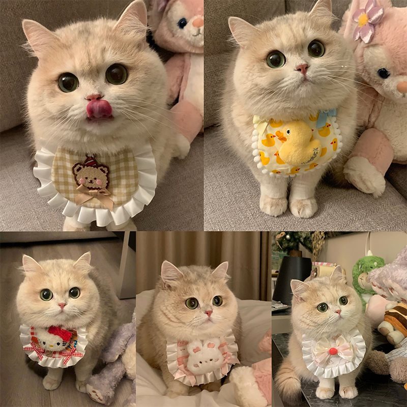 猫咪狗可爱围兜宠物蕾丝布艺口水巾手工编织拍照饰品围脖装饰