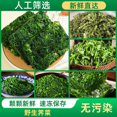 速冻荠菜新鲜冷冻新鲜野菜地野生荠菜馅馄饨饺子馅荠荠菜食材