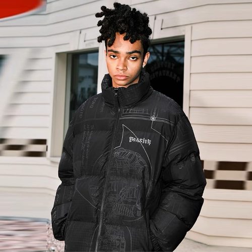 休闲立领日常常规夜光羽绒服