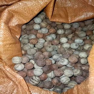 木质珠胚珠滚筒珠实木珠1.5-2.0枕芯珠按摩枕名贵红木瑕疵珠无孔