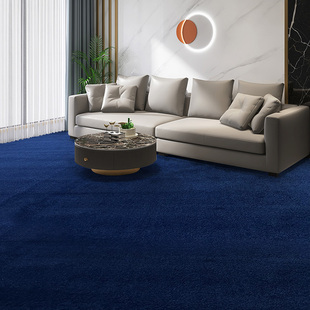 加厚武术地毯录音棚舞蹈室散打馆隔音降噪大面积满铺防火阻燃地毯