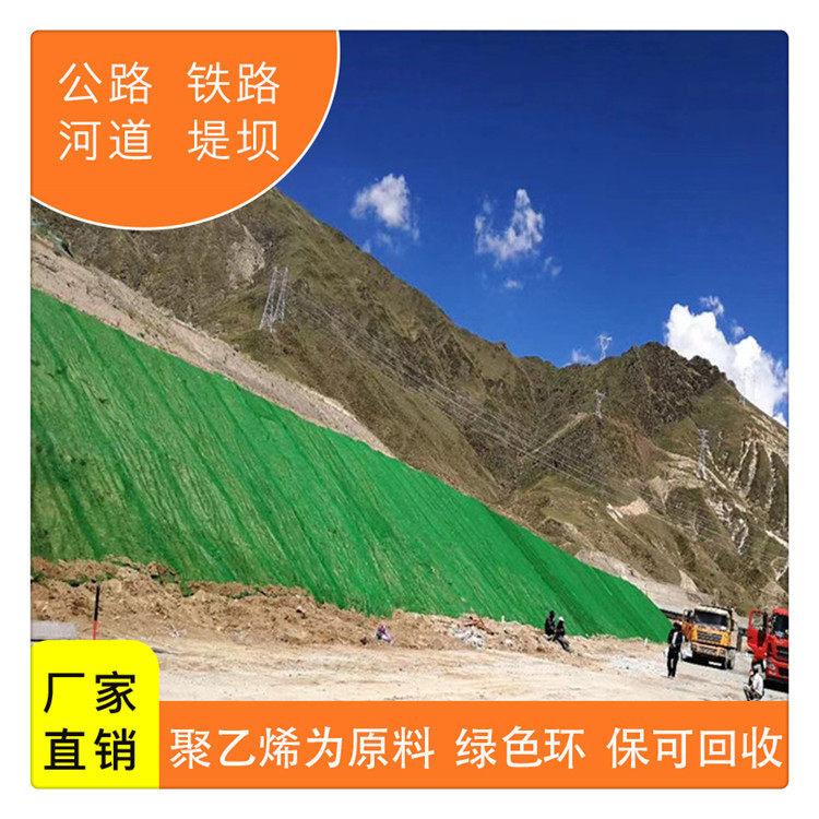 三维植被网土工网垫植草网园林绿化公路护坡工程绿化网绿色防尘网