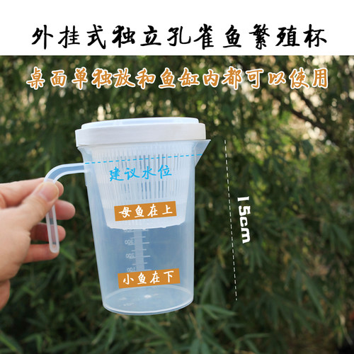 孔雀鱼繁殖隔离杯缸外缸内用独立繁殖盒鱼产房生小鱼产子罐母鱼盒