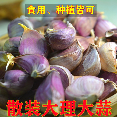 蒜瓣大蒜食用农产品丫蒜紫皮蒜红皮蒜大理产地直发干蒜2026年新蒜