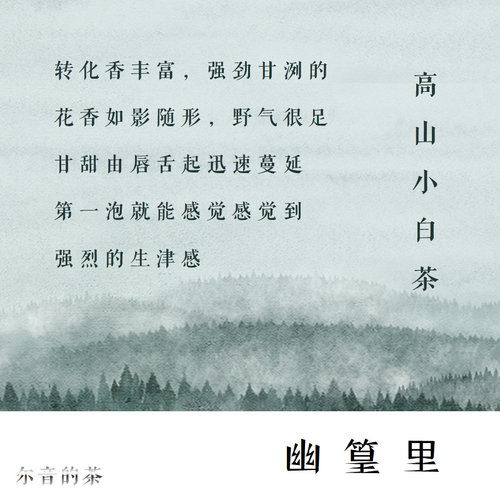 尔音/{湖上雪}系列2020年建阳高山小白茶【幽篁里】