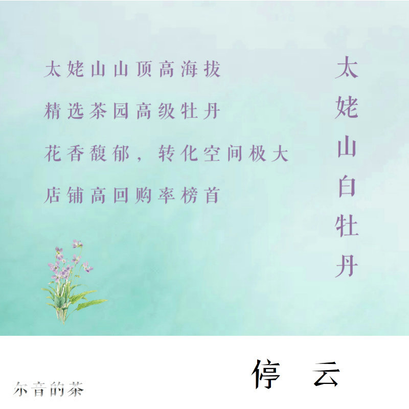 尔音/｛云中英｝系列福鼎太姥山高海拔生态茶白牡丹【停云】