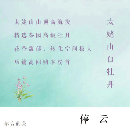 尔音/｛云中英｝系列福鼎太姥山高海拔生态茶白牡丹【停云】