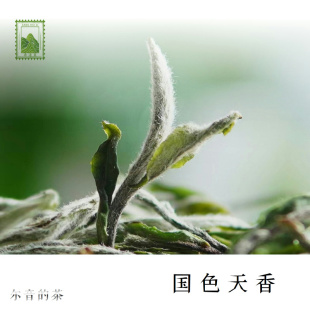 尔音/｛桑海里｝系列福鼎白茶磻溪有机春牡丹【国色天香】