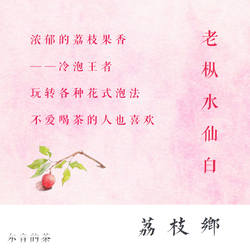 粉丝内购会——2022年建阳老树水仙白【荔枝乡】一斤铝箔袋藏茶装