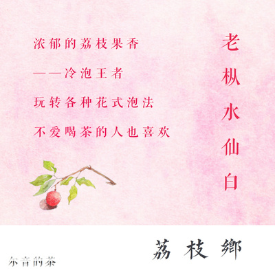 粉丝内购会——2022年建阳老树水仙白【荔枝乡】一斤铝箔袋藏茶装