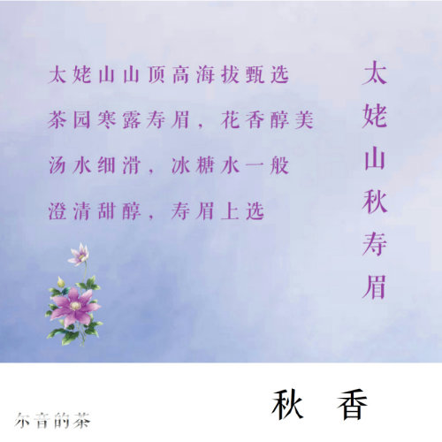 尔音/2021年太姥山精制寒露茶寿眉老顾客极高回购款【秋香】