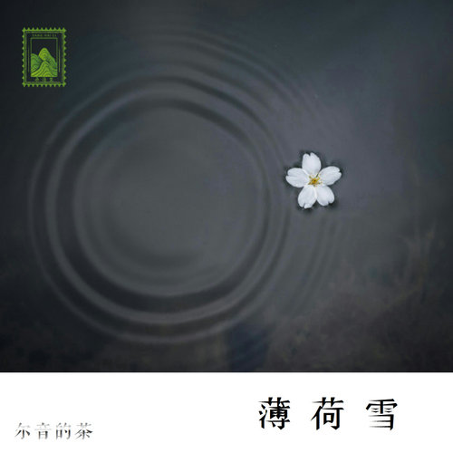 2016年福鼎冬片木质香薄荷味冰糖甜适合闷壶保温杯闷泡【薄荷雪】