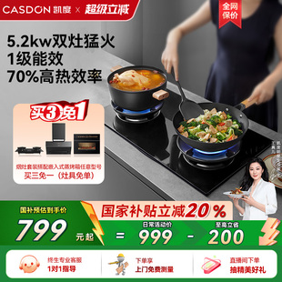 B家用猛火燃气灶煤气灶定时灶天然气双灶台U10neo系列 凯度T3BX