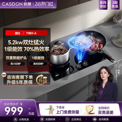 凯度T3BX-A家用猛火燃气灶煤气灶双灶嵌入式天然气U10sky系列