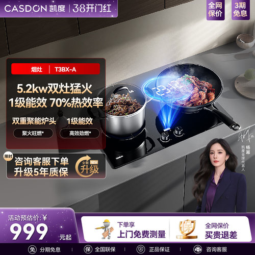 凯度T3BX-A家用猛火燃气灶煤气灶双灶嵌入式天然气U10sky系列