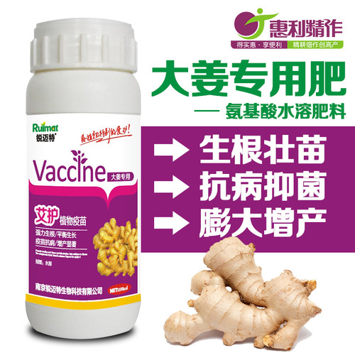 大姜生姜洋葱大蒜专用肥生根壮苗膨大素剂氨基酸肥料膨大剂叶面肥