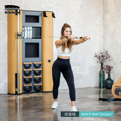 WaterRower德国进口家用健身器材室内力量综合训练器诺德墙