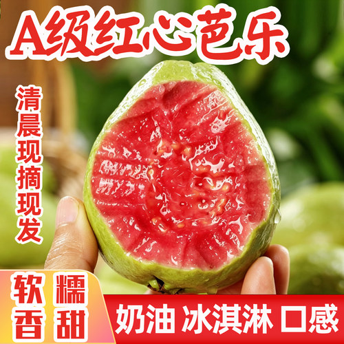 广西红心芭乐大果新鲜原产地直销