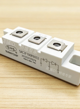 原装SUNNYCHIP全新SAC2F100P60S2 100N等离子快恢复模块二次整流