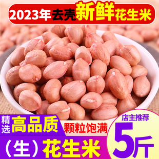 2023年新鲜花生米新货大颗粒白沙农家生花生米商用去散装 壳花生仁