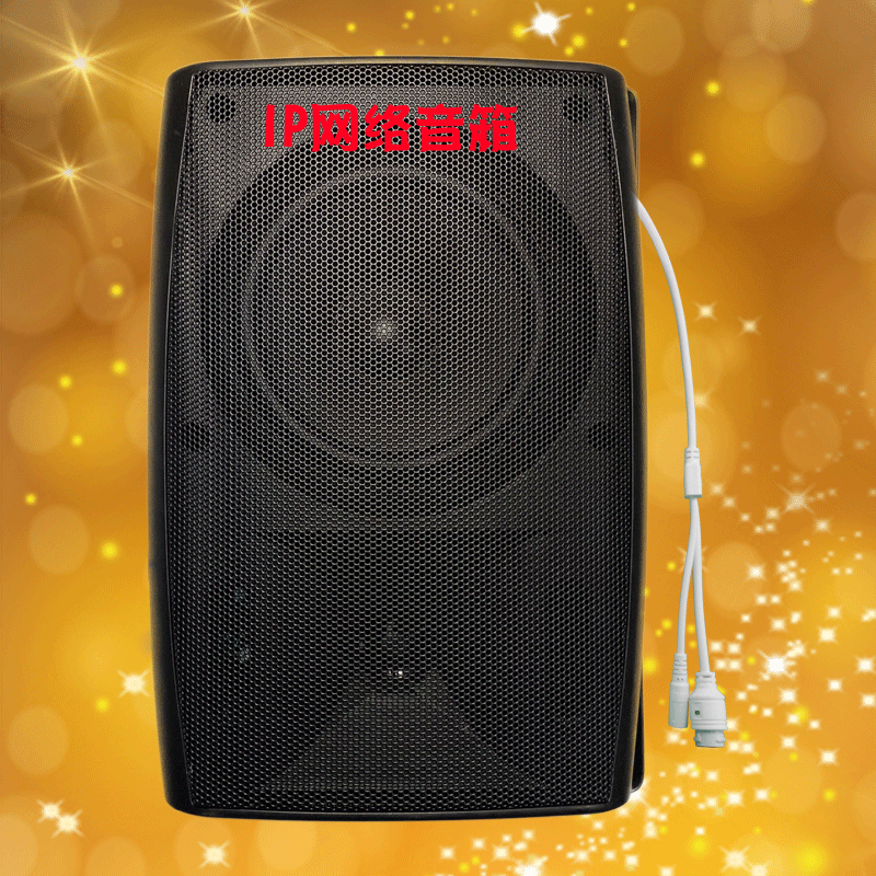 内置功放网络广播支持广域网