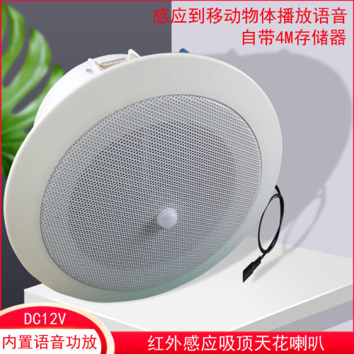 红外音箱人体感应吸顶喇叭