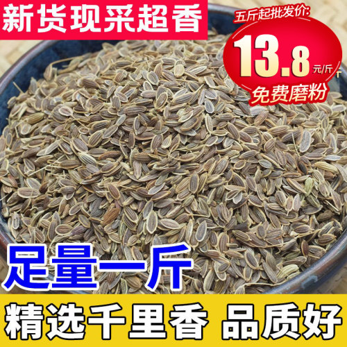 广西千里香莳萝籽发非调料大全