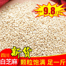 500g 烧烤调料家用烘焙厨房散批商用散装 白芝麻 熟炒熟即食