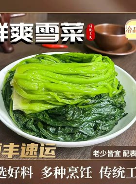 洽品鲜鲜爽青雪菜正宗雪里红咸菜传统腌制雪里蕻农家自制下饭腌菜