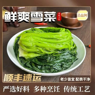 洽品鲜鲜爽青雪菜正宗雪里红咸菜传统腌制雪里蕻农家自制下饭腌菜