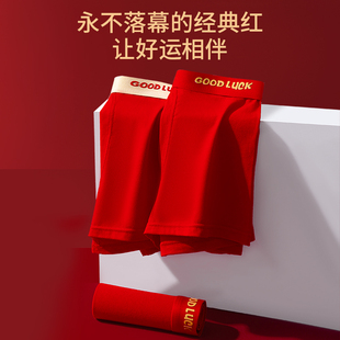 10A抗菌莫代尔棉新年红内裤中大童男童青少年内裤789【橙子优选】