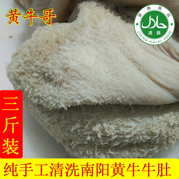 正宗农家散养南阳黄牛肉新鲜牛肚生牛胃牛杂纯手工清洗三斤装清真