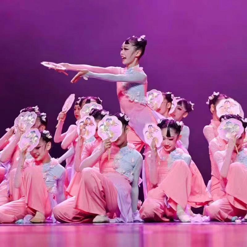 淡妆浓抹总相宜舞蹈服儿童古典舞中国风练功服团扇群舞飘逸演出服