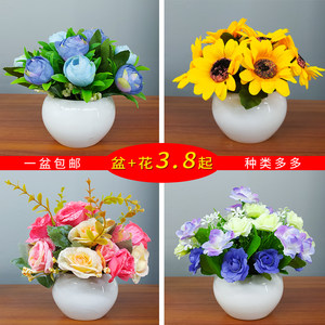 植物盆栽室内花束客厅价格 植物盆栽室内花束客厅图片 星期三 植物盆栽室内花束客厅价格 植物盆栽室内花束客厅图片 星期三