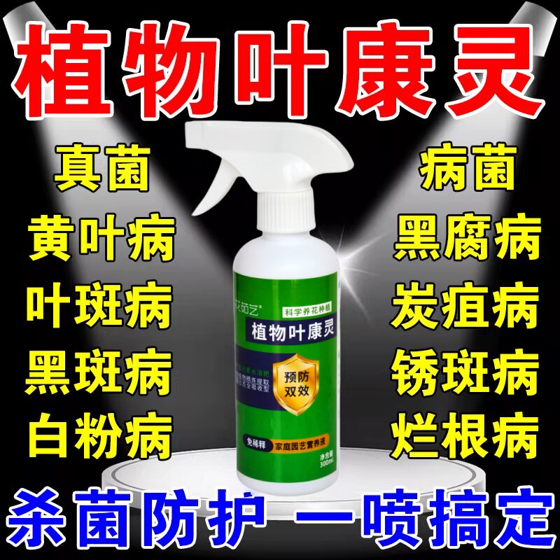 叶康灵喷剂月季花病虫害常用药兰花桂花山茶花枯叶干尖黑斑病预防