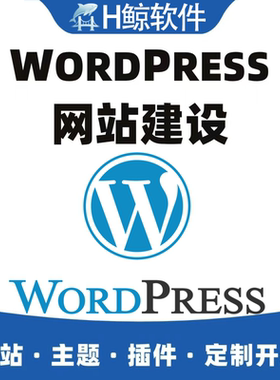 WordPress外贸建站独立站商城网站定制开发二开WP速度优化源码