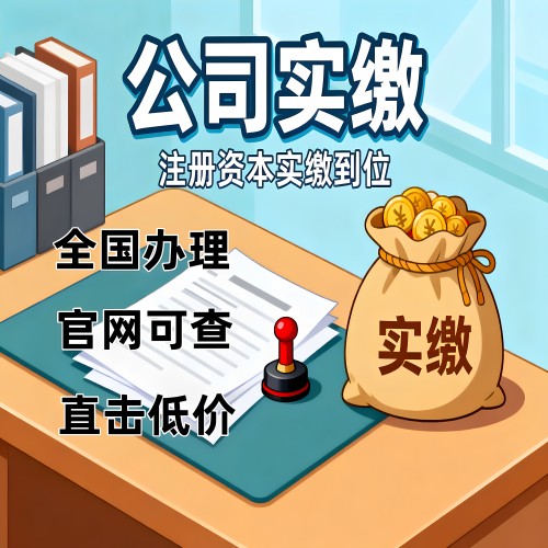 知产无形资产作价出资评估验资