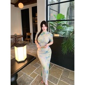 新中式 Bbabes 梧枝春晓 复古长裙印花小众优雅立领低开衩旗袍