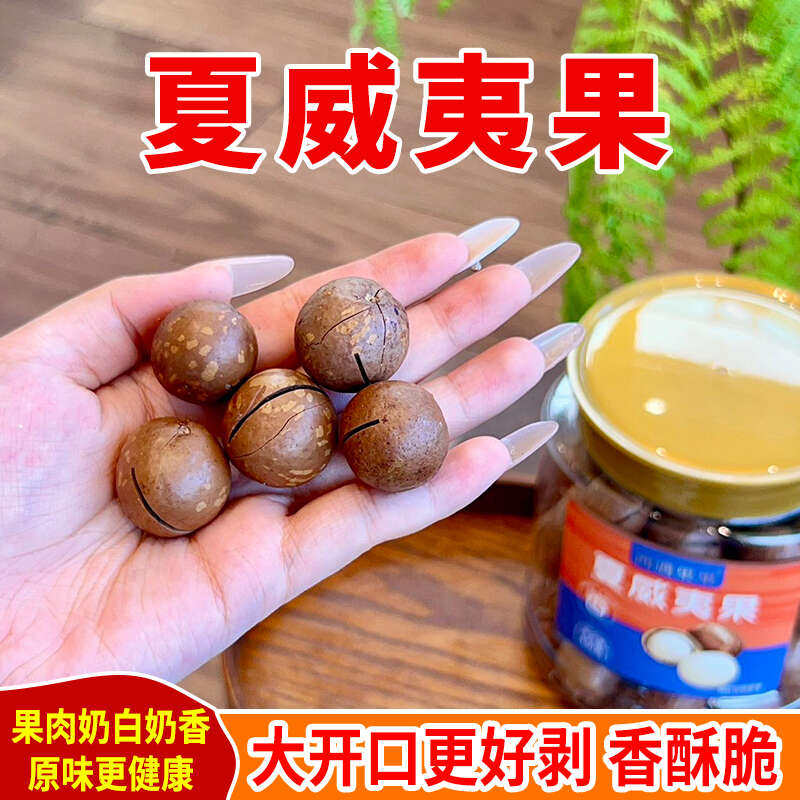 夏威夷果原味无添加大颗粒健康坚果办公室休闲零食450克罐装包邮