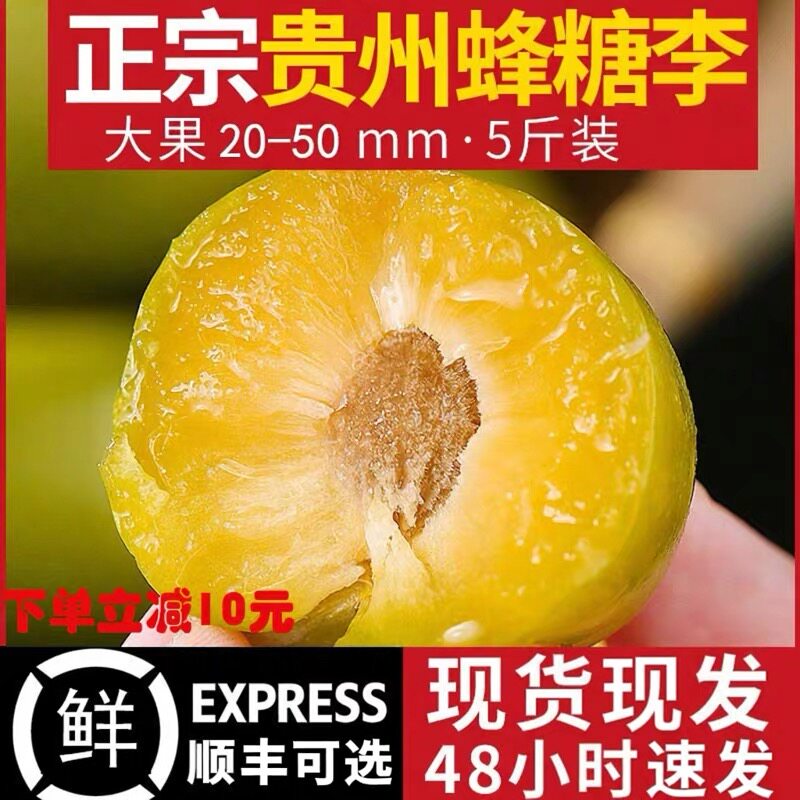 正宗贵州蜂糖李六马直发现货脱骨脆李【2026年当季新品顺丰空运】