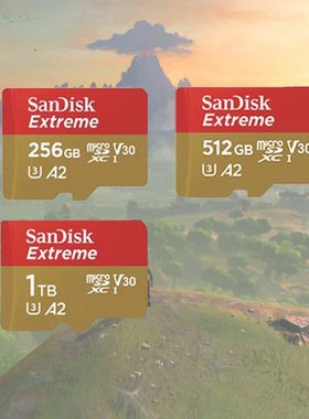 闪迪红金/swltch联名内存卡