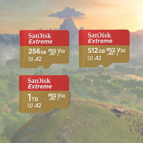 闪迪红金/swltch联名内存卡